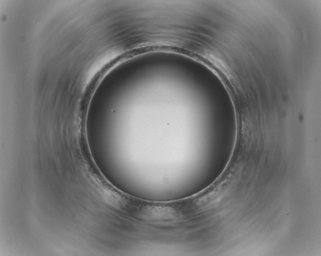 X0000089371119200706151152