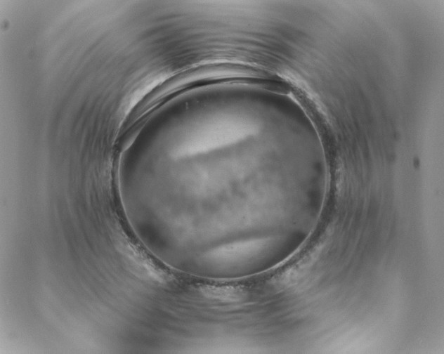 X0000089371121200706151152