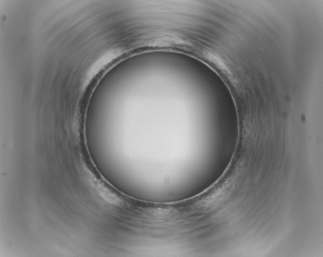 X0000089371122200706151152
