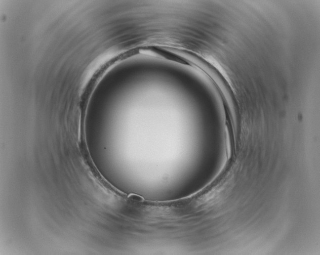 X0000089371123200706151152