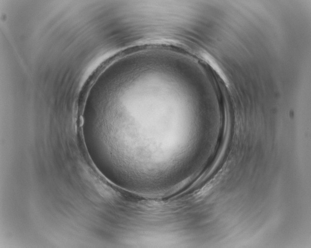 X0000089371124200706151152