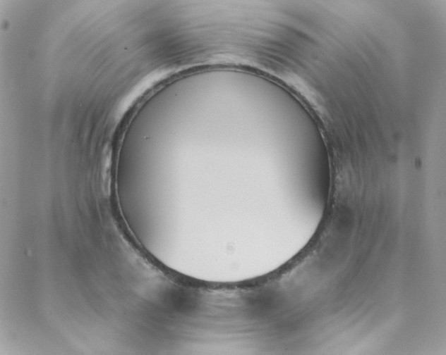 X0000089371126200706151152