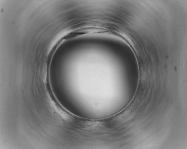 X0000089371131200706151152
