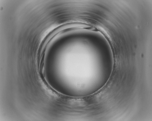 X0000089371133200706151152