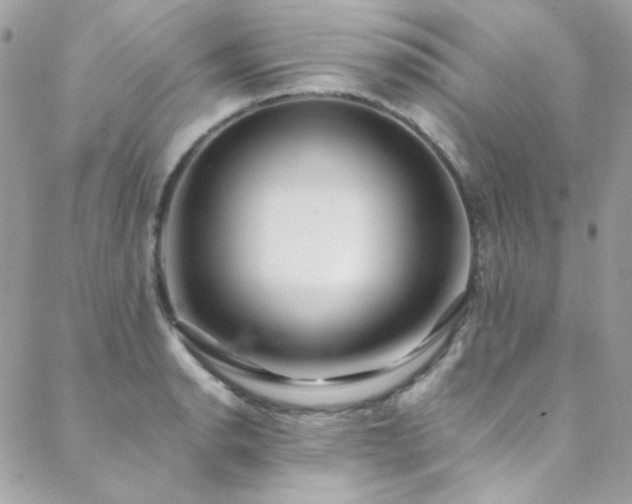X0000089371134200706151152