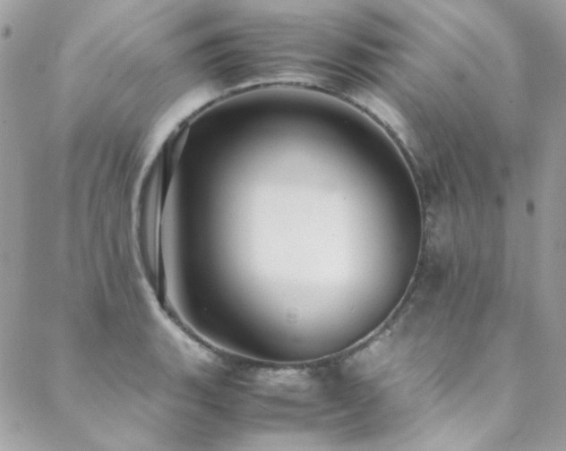 X0000089371135200706151152