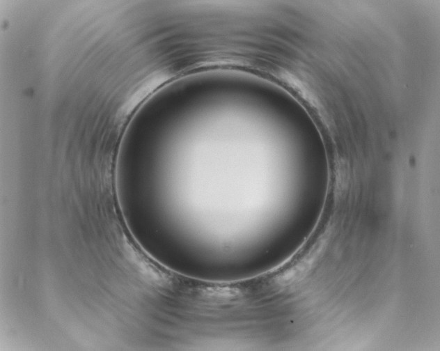 X0000089371137200706151152