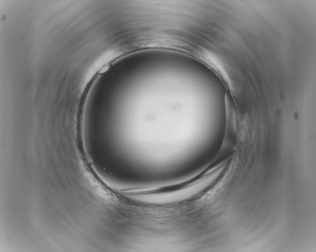 X0000089371138200706151152