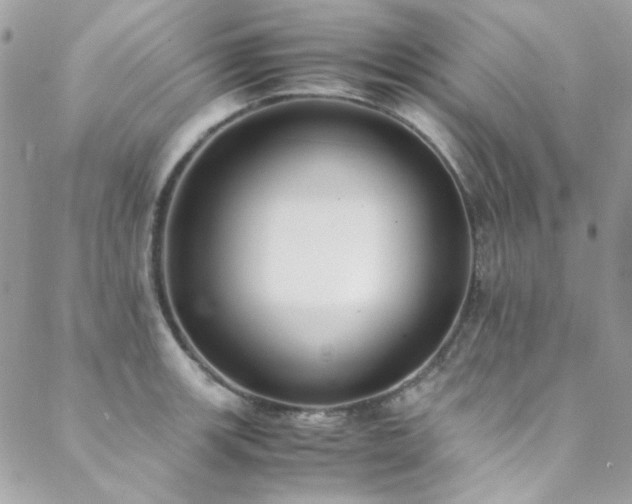 X0000089371139200706151152