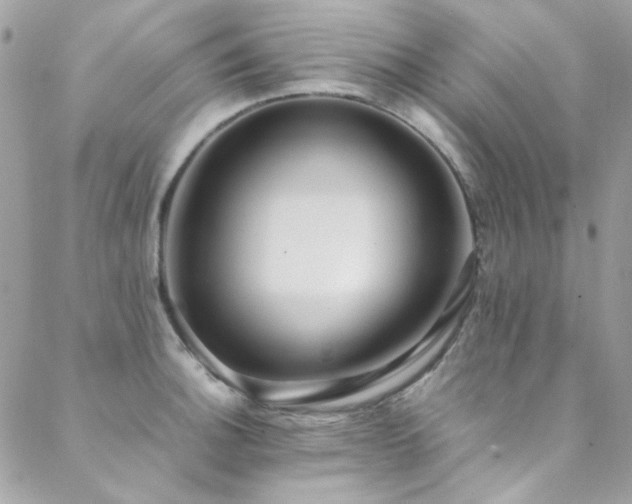 X0000089371140200706151152