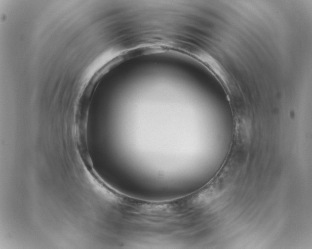 X0000089371143200706151152