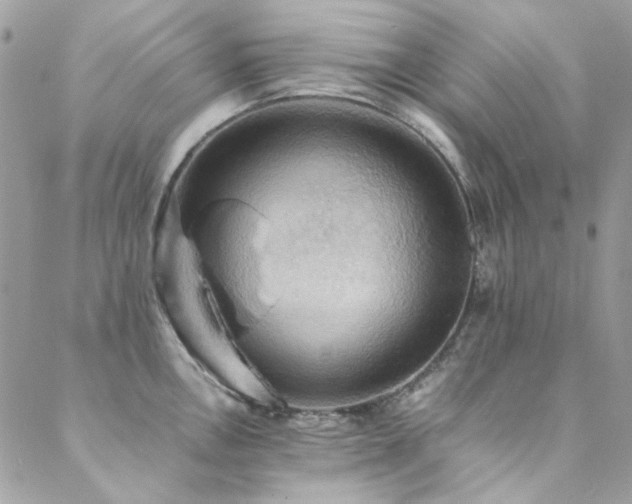 X0000089371146200706151152