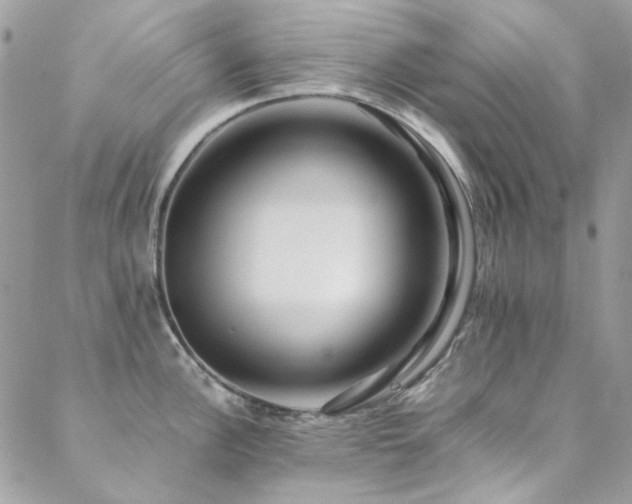 X0000089371148200706151152