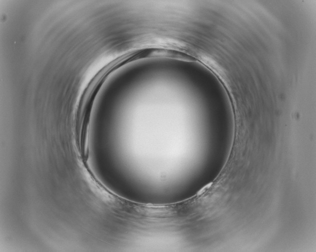 X0000089371152200706151152