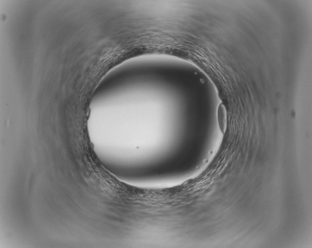 X0000089371153200706151151