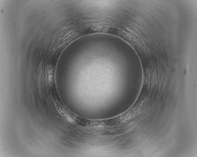 X0000089371154200706151151