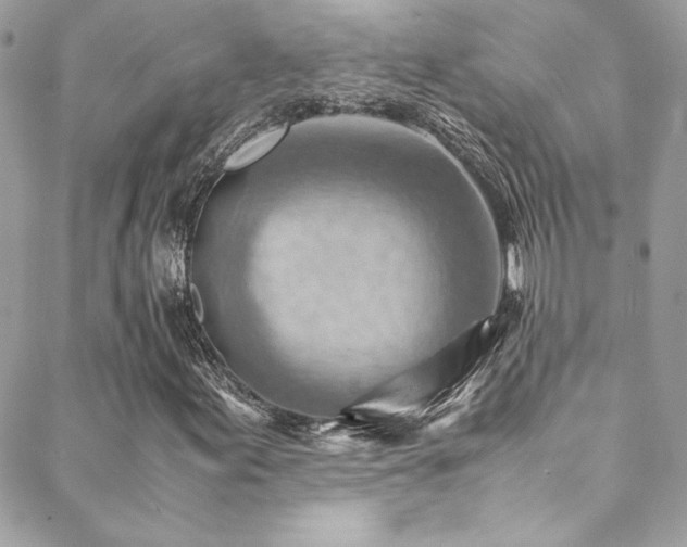 X0000089371155200706151151