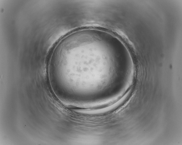 X0000089371167200706151151