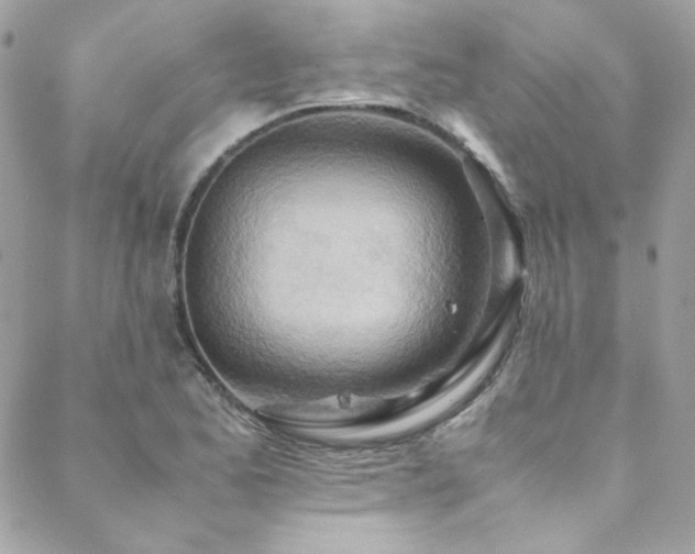 X0000089371173200706151151
