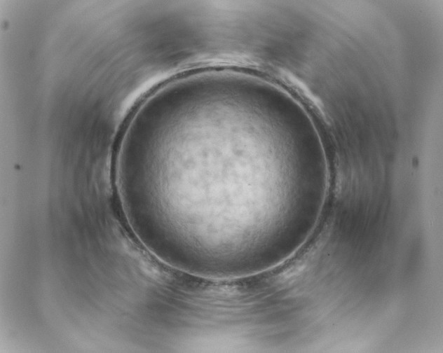 X0000089371174200706151151