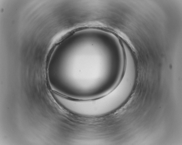 X0000089371176200706151151