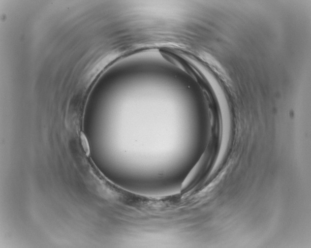 X0000089371177200706151151