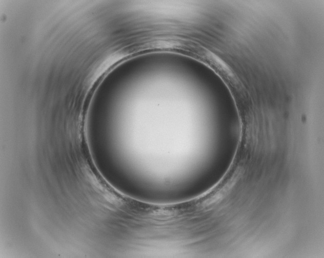 X0000089371178200706151151