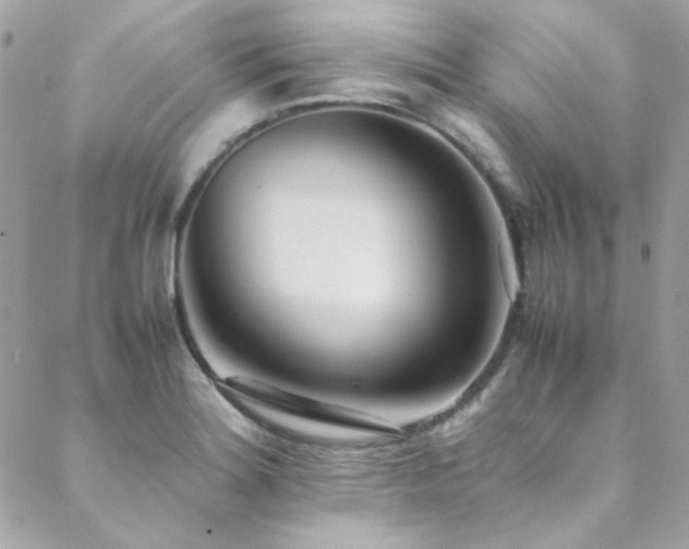 X0000089371180200706151151