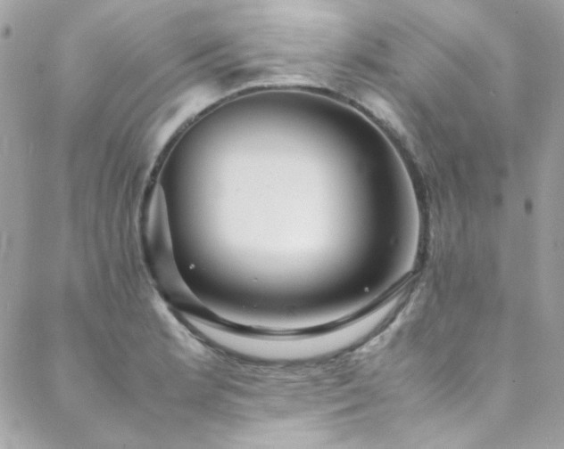 X0000089371181200706151151