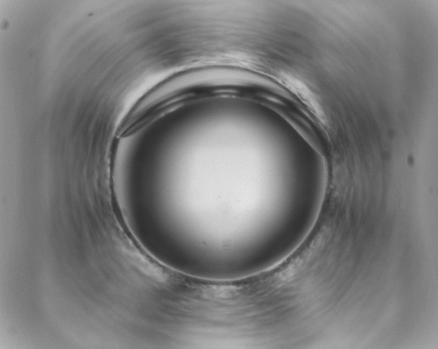 X0000089371184200706151151