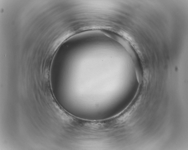 X0000089371185200706151151