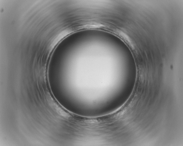 X0000089371186200706151151