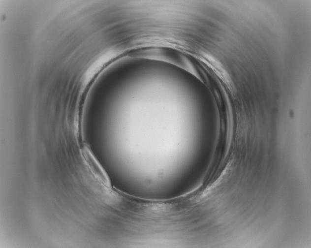 X0000089371188200706151151