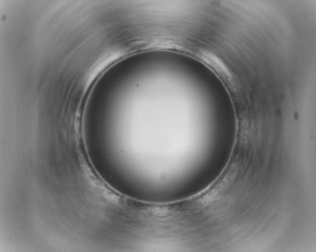 X0000089371190200706151151