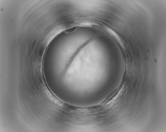 X0000089371194200706151151