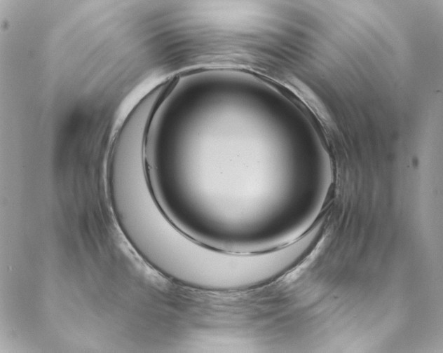 X0000089371196200706151151