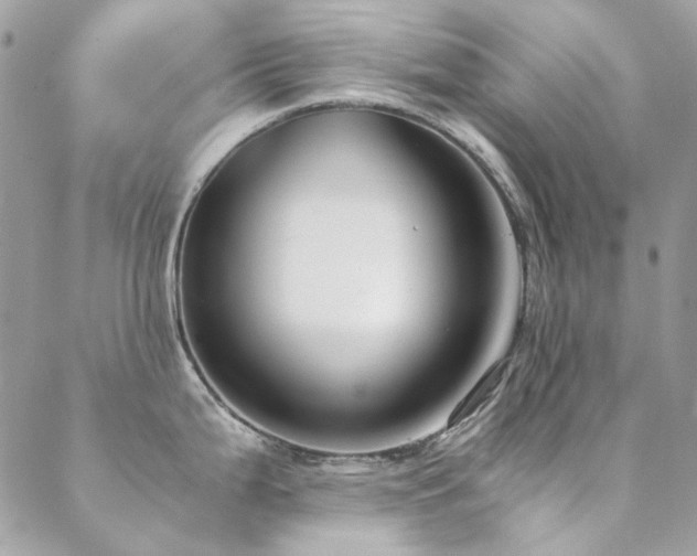 X0000089371199200706151151