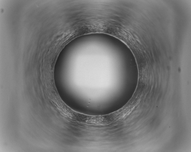 X0000089371201200706151150