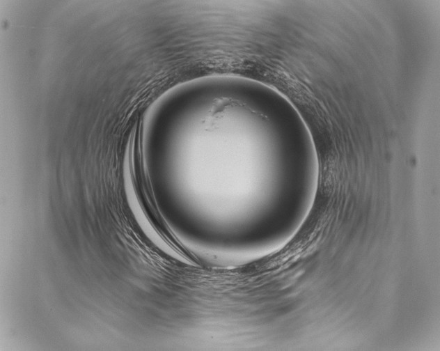 X0000089371202200706151150