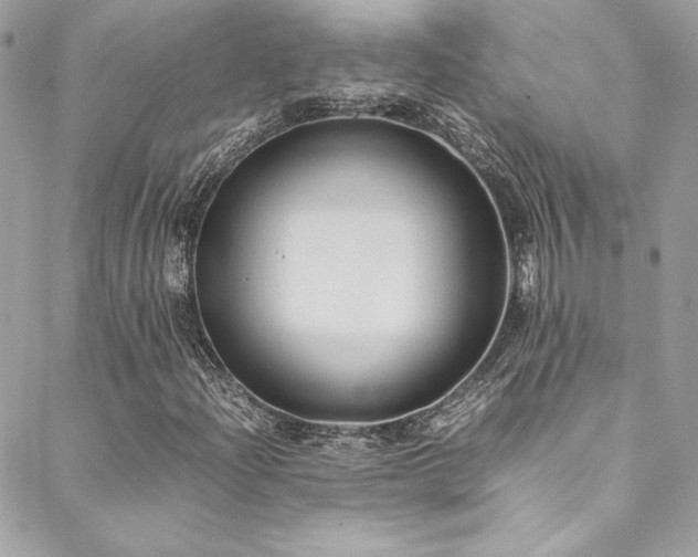 X0000089371204200706151150