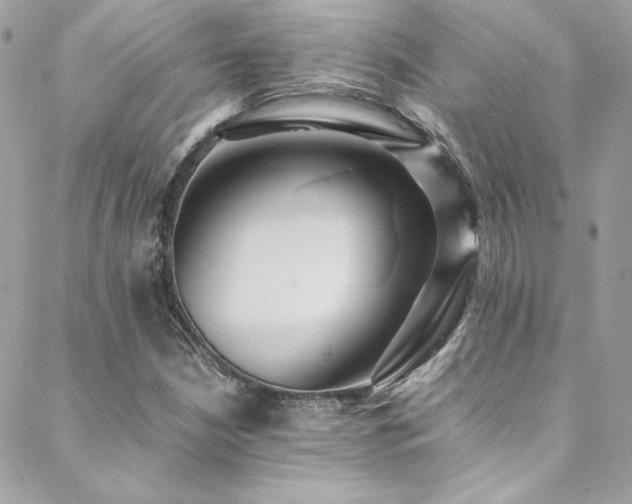 X0000089371210200706151150