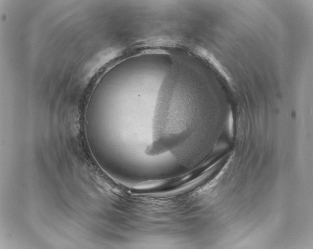 X0000089371213200706151150