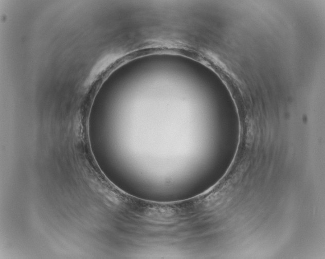 X0000089371215200706151150