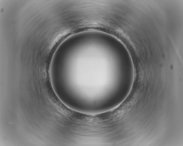 X0000089371218200706151150