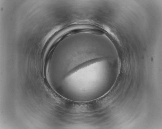 X0000089371221200706151150