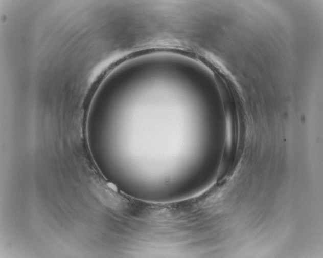 X0000089371222200706151150