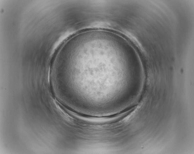 X0000089371224200706151150