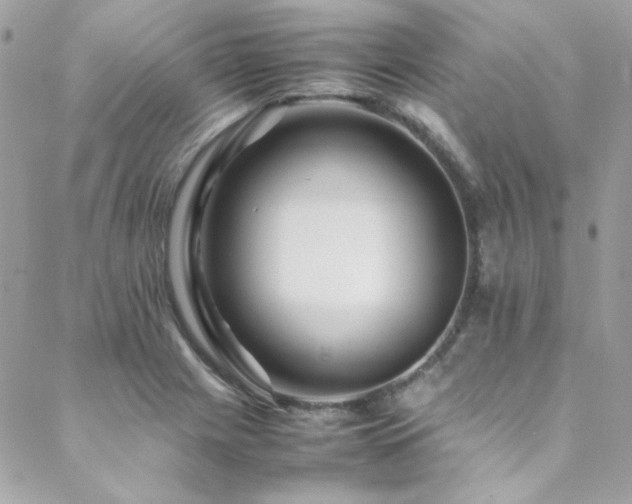 X0000089371225200706151150