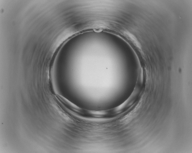 X0000089371226200706151150