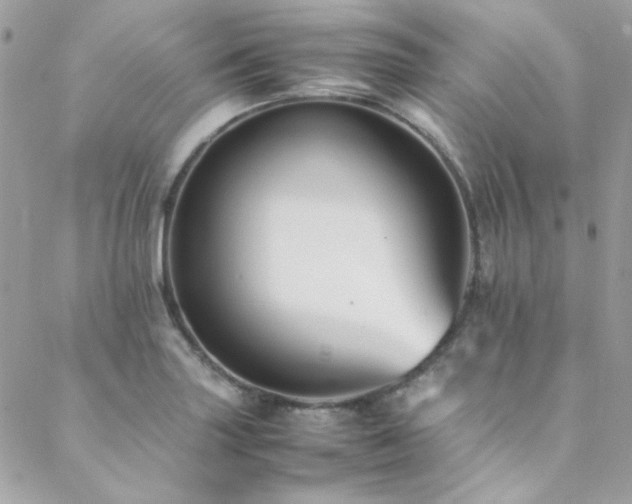 X0000089371227200706151150
